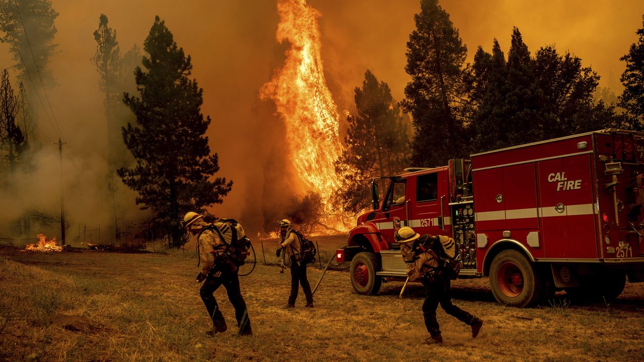 Des pompiers s'efforcent d'empêcher un feu de forêt d'atteindre une maison dans la communauté de Jerseydale, dans le comté de Mariposa [Noah Berger - AP Photo]