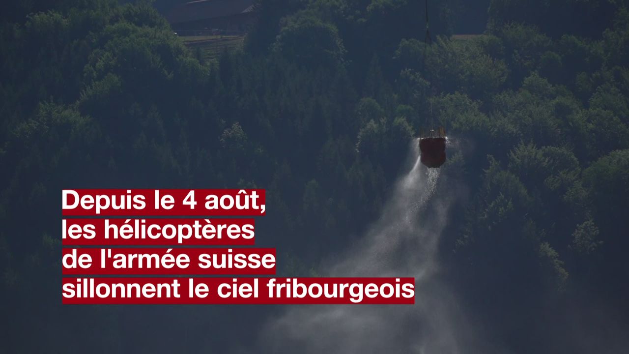 Les hélicoptères de l'armée suisse à la rescousse des alpages fribourgeois [RTS]