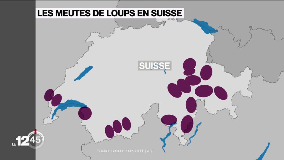 Groupe Loup Suisse