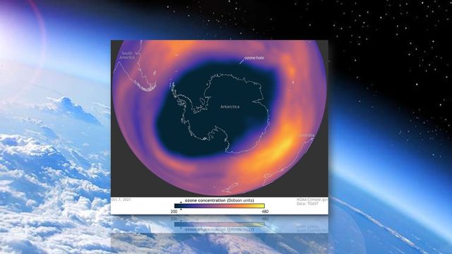Concentrations d'ozone sur l'hémisphère Sud, mesurées le 7 octobre 2021 [NOAA/NASA]