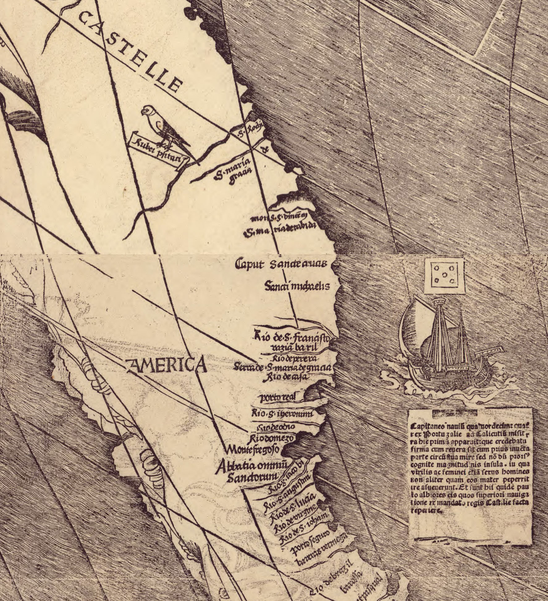 Détail de la carte de Martin Waldseemüller, réalisée en 1507, où apparaît pour la première fois le mot "America".