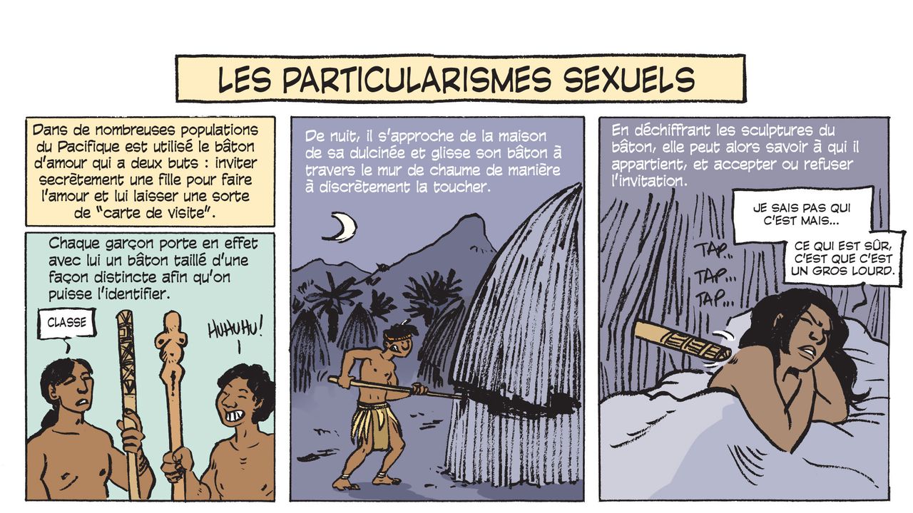 Extrait de la bande dessinée "L'incroyable histoire du sexe" de Philippe Brenot et Laetitia Coryn. [Editions Les Arènes BD]