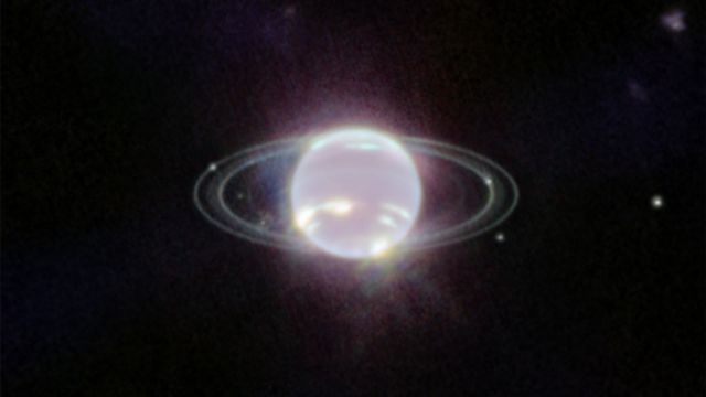 En observant Neptune avec l'instrument en infrarouge NIRCam, le JWST révèle notamment ses anneaux. [JWST/STScI -  NASA, ESA, CSA]