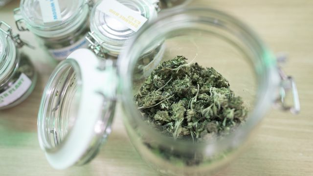 Genève veut lancer un essai pilote de vente régulée de cannabis. [Gaetan Bally - Keystone]