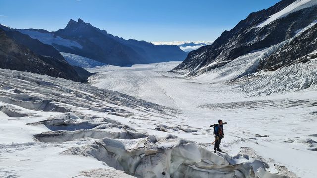 Glacier d'Aletsch. [WSL]