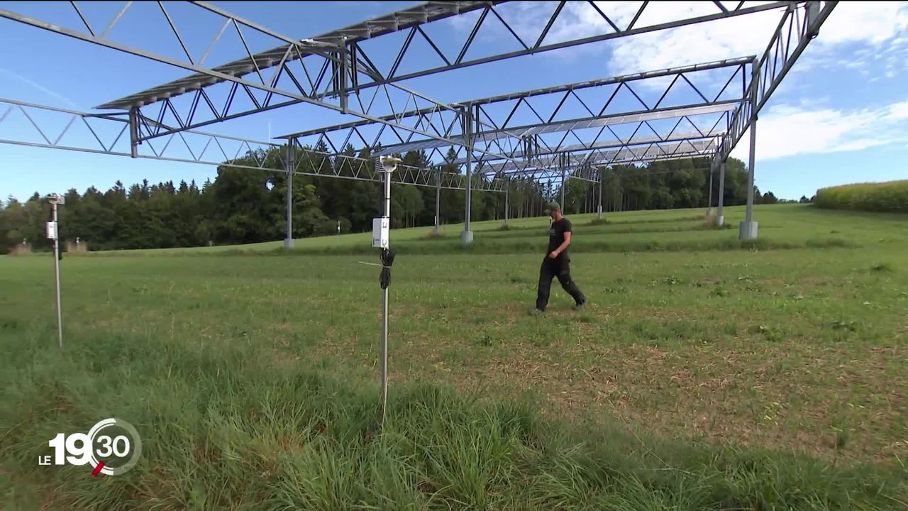 L’agriphotovoltaïque, soit installer des panneaux solaires sur les terrains agricoles, offre un fort potentiel d’énergie renouvelable [RTS]