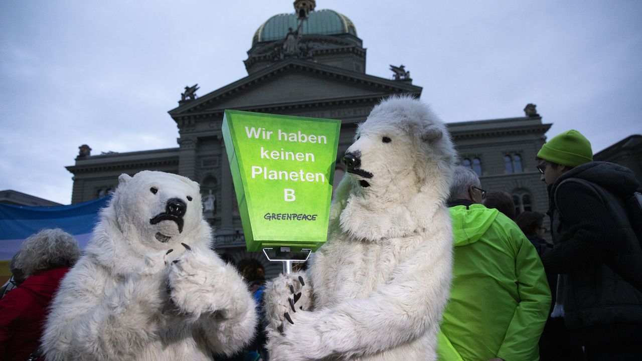 Deux manifestants déguisés en ours polaires lors du dépôt de l'initiative pour la protection des glaciers le 27 novembre 2019 devant le palais fédéral à Berne. [PETER KLAUNZER - Keystone]
