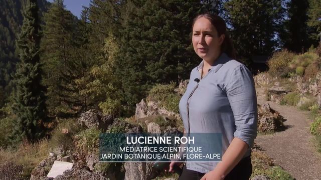 Entretien avec Lucienne Roh, médiatrice scientifique, Jardin botanique Flore-Alpe, Champex [RTS]
