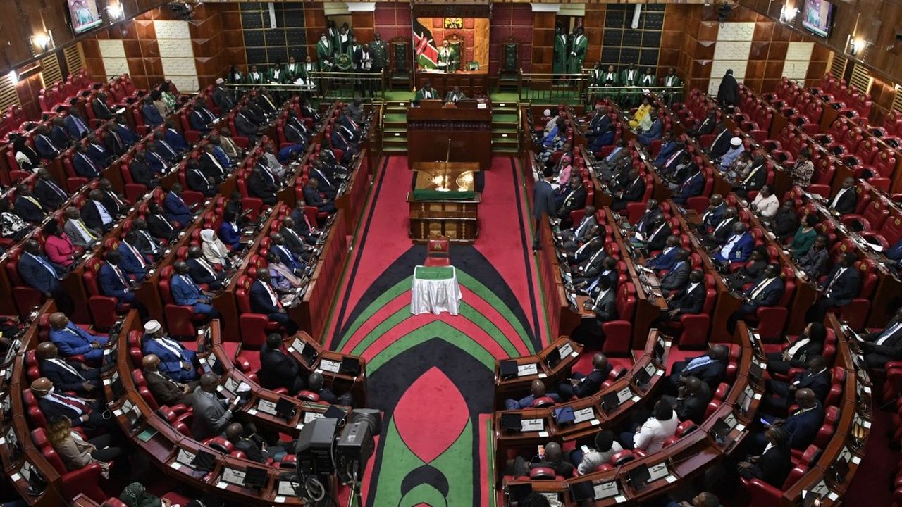 Le combat éprouvant des Kenyanes dans l'arène politique [Simon Maina - AFP]