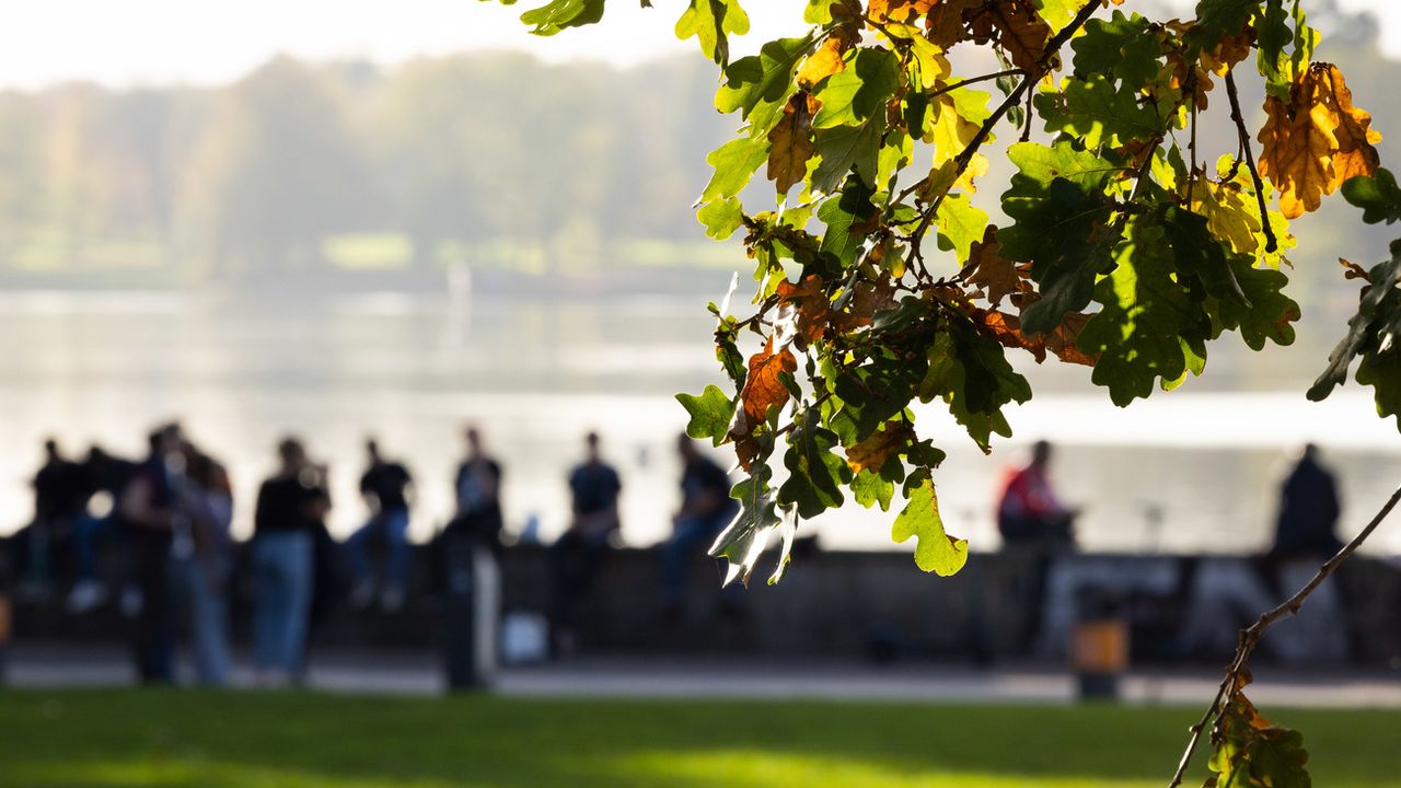 Des gens sont assis sur la rive du lac Aasee, à Münster, en Allemagne. Les feuilles colorées d'un chêne en premier plan sont illuminées par le soleil. [Friso Gentsch / DPA - KEYSTONE]