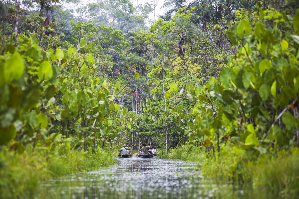 La selva tropical en Ecuador. [Matthew Williams-Ellis / Robert Harding Premium - afp]