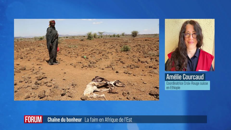 Chaîne du Bonheur et la faim en Afrique de l'Est: interview d'Amélie Courcaud [RTS]