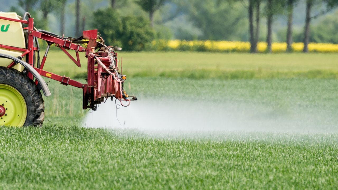 La Suisse continue d'exporter des pesticides interdits, dénonce l'ONG Public Eye [Patrick Pleul - Keystone]