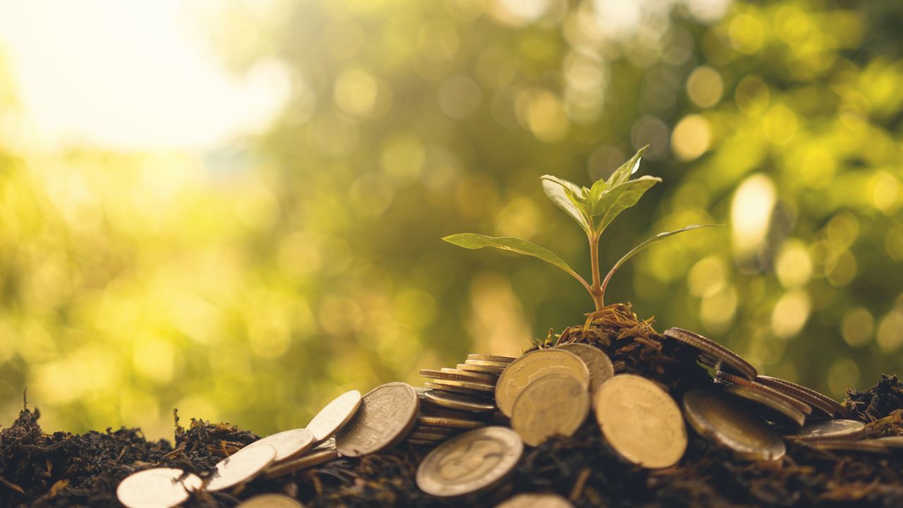La finance verte propose d'utiliser les marchés pour accélérer la transition écologique. [thekob5123 - Fotolia]