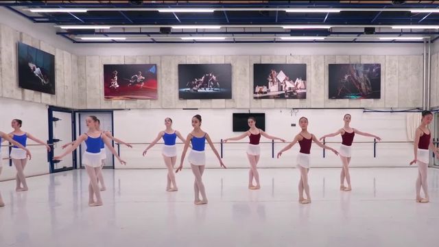 L'Ecole de ballet de Bâle a annoncé qu'elle allait fermer sa filière professionnelle.  [Balletschule Theater Basel]
