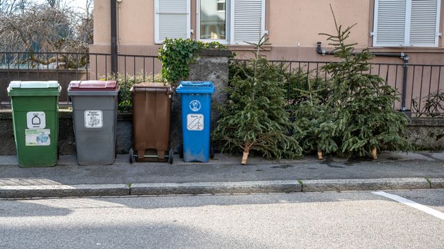 Des poubelles et des sapins de Noël abandonnés à Lausanne. [HeyingPhoto - Depositphotos]