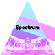 Spectrum - Le maillot de bain. [RTS]