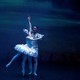 Le "Lac des cygnes" par l'Antalya State Opera and Ballet, le 11 janvier 2018. [Mustafa Ciftci - Anadolu Agency via AFP]