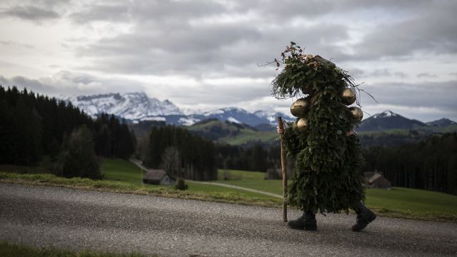 Un homme sapin dans la campagne appenzelloise à l'occasion du Nouvel An fêté ce jour dans le demi-canton. [Gian Ehrenzeller - Keystone]