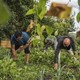 L’EPER propose à des personnes migrantes précarisées de cultiver une parcelle potagère [eper.ch/nouveaux-jardins]