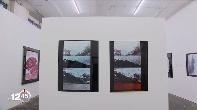 "Behold the ocean", une exposition photographique et vidéo sur la recherche sur le climat en Patagonie [RTS]