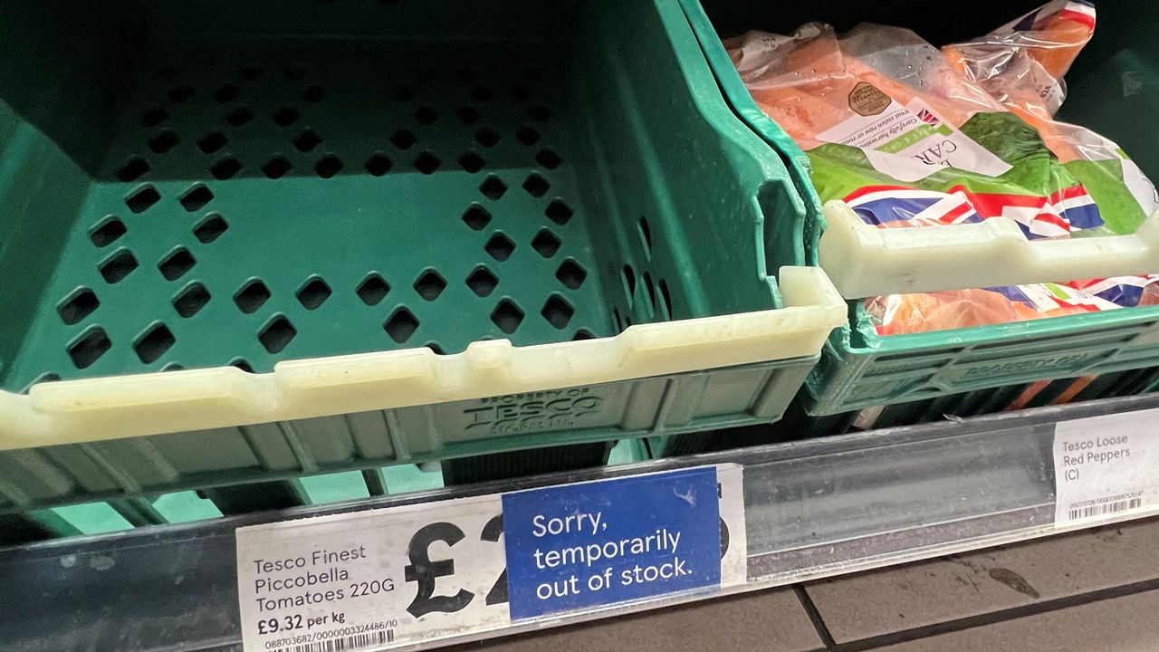 Le Royaume-Uni souffre d'une pénurie de fruits et légumes. [Toby Melville - Reuters]