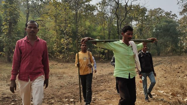 Dans la forêt qui borde le village de Rahu, les villageois reviennent d’une inspection et coupe de la plantation de bambous qu’ils entretiennent. [Sébastien Farcis - RTS]