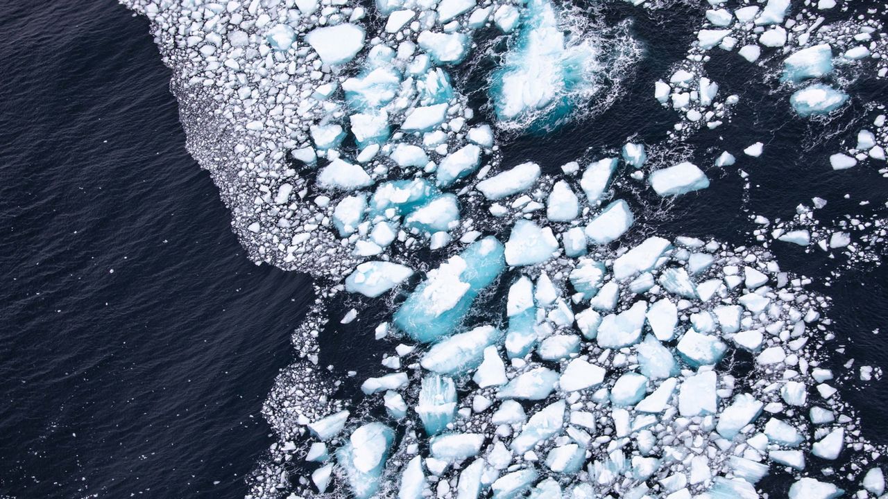 La glace de l'Antarctique n'a jamais autant fondu qu'en février [Phil Dye - EPA]