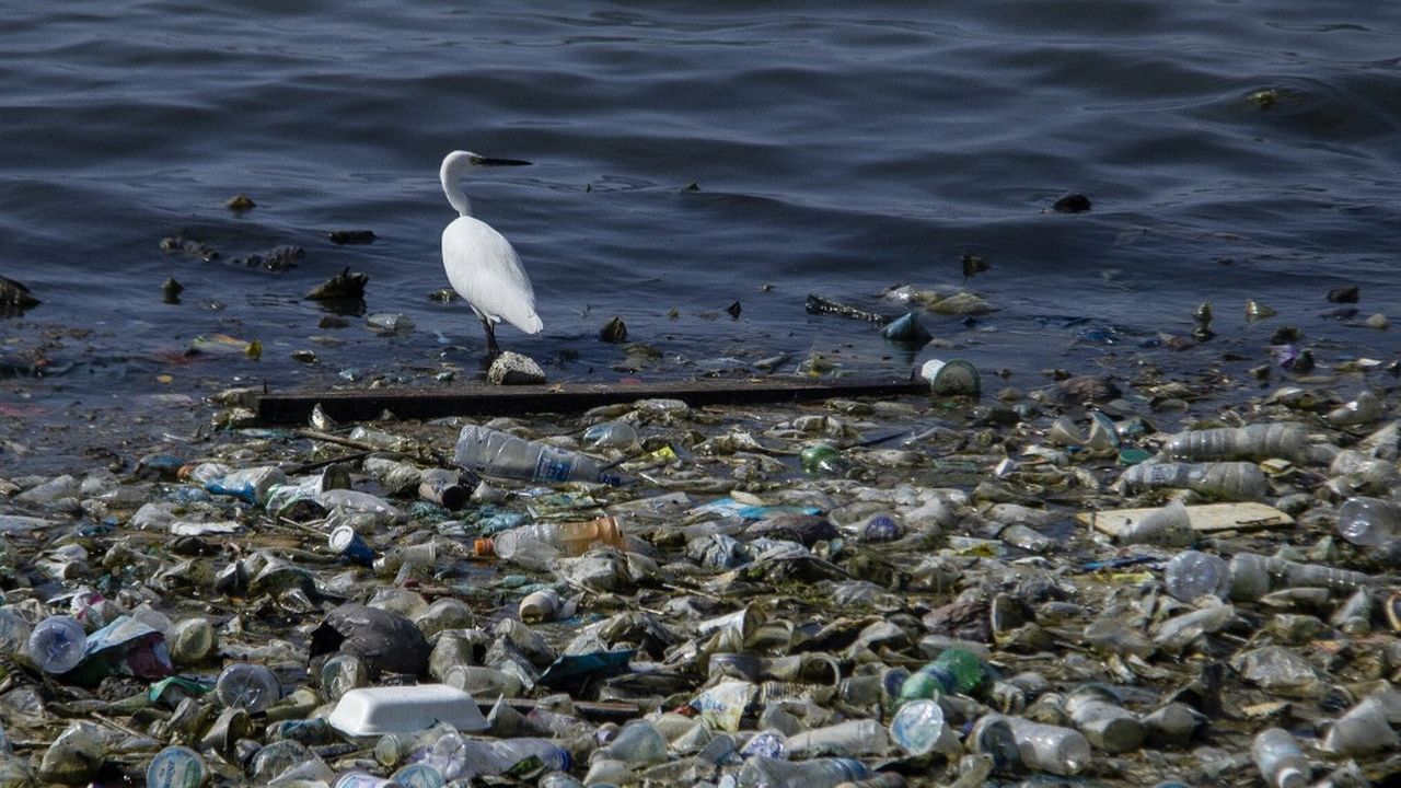 La pollution plastique des océans du globe a atteint des "niveaux sans précédent" depuis 15 ans. [Zick Maulana / NurPhoto - AFP]