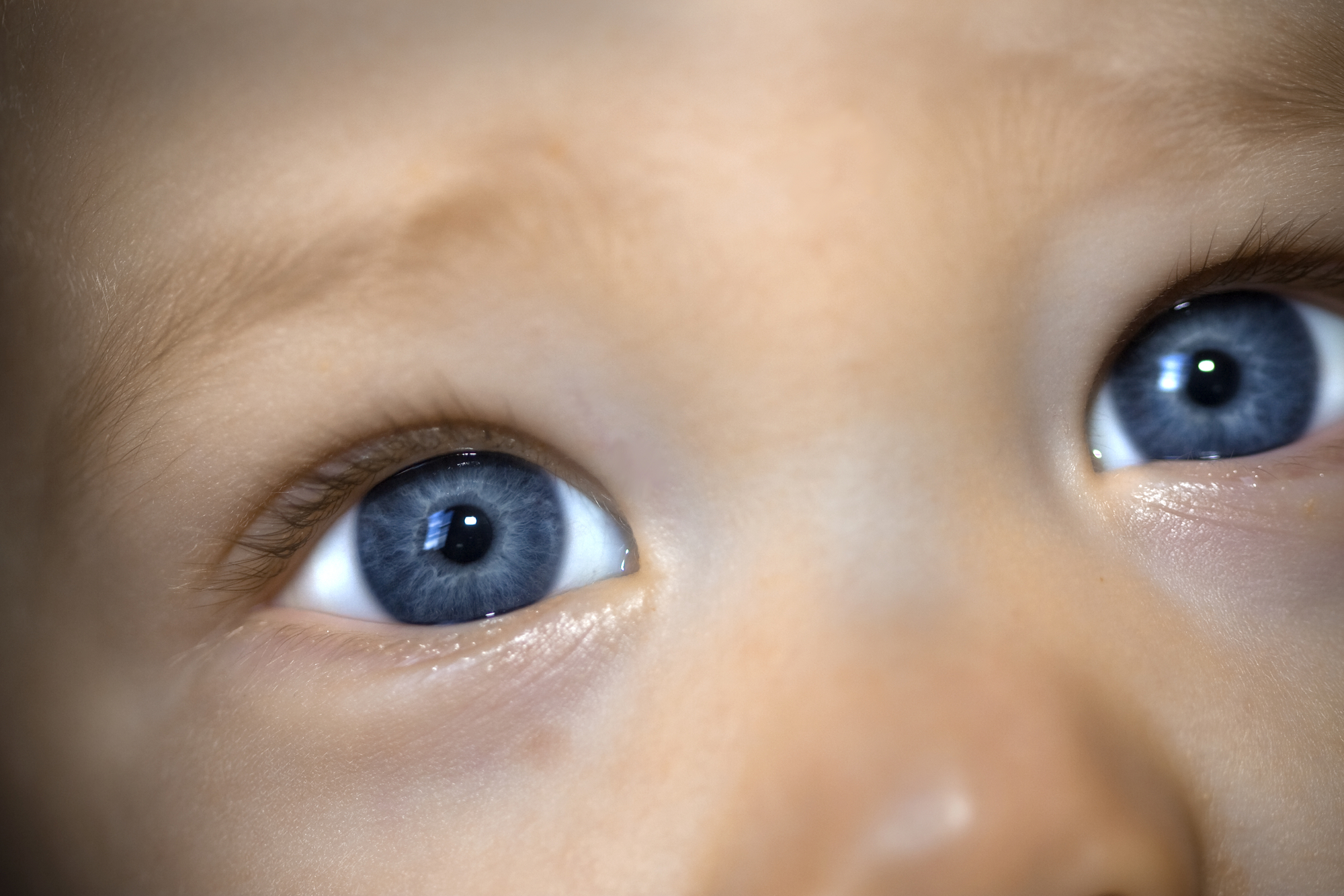 Почему у ребенка голубые глаза. Детские глаза. Тёмно синие глаза. Серо голубые глаза у ребенка. Глаза новорожденного.