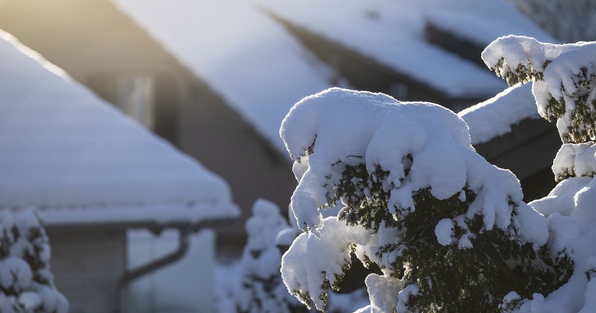 Chutes de neige intensives dans les Alpes ce dimanche, risque élevé d'avalanches