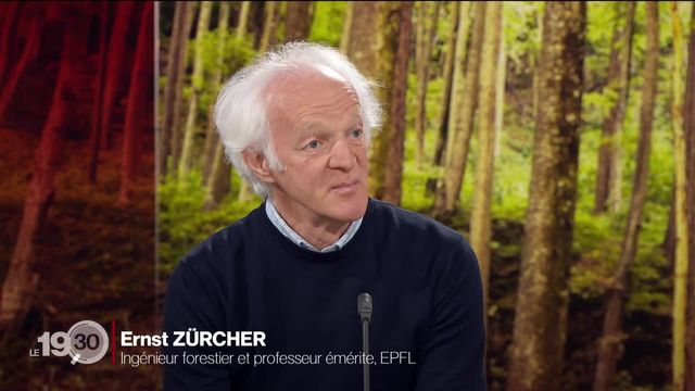 L'ingénieur forestier Ernst Zürcher évoque les bienfaits des arbres pour la santé [RTS]