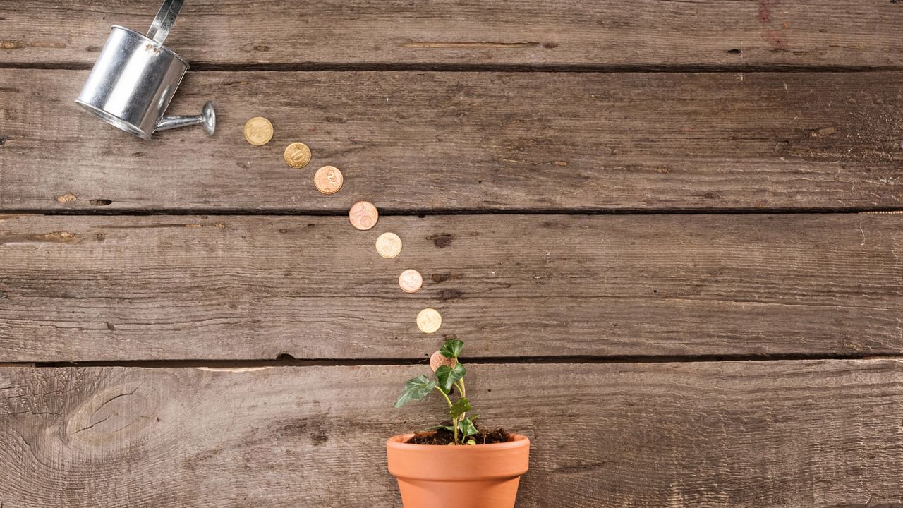 Un arrosoir verse des pièces de monnaie sur une plante. [SergPoznanskiy - Depositphotos]