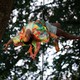 Fête de la danse 2023, "Zwischen Bäumen" spectacle de danse aérienne dans les arbres. [Eleni Kougionis - Fête de la danse]