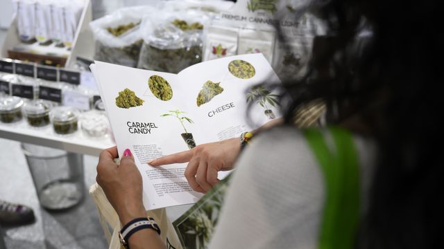 Les fumeurs de cannabis de plus de 18 ans pourront prendre part à l'essai de commercialisation de cette drogue dans le canton de Berne dès l'automne (image d'illustration). [Anthony Anex - Keystone]