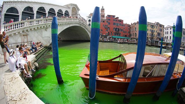 Un tronçon du Grand Canal de Venise vire au vert fluorescent. [AFP]