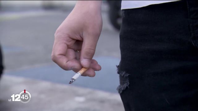 Le canton de Genève interdit de fumer à l'extérieur aux abords des écoles, des arrêts de bus et des aires de jeux [RTS]