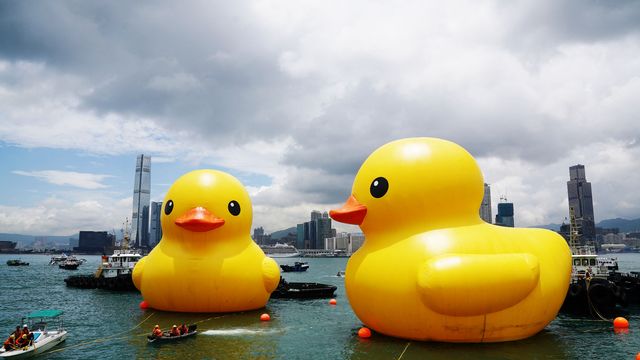 L'oeuvre "Double Ducks" de l’artiste néerlandais Florentijn Hofman, devenue symbole de paix, a fait son retour vendredi 6 juin 2023 dans la baie de Hongkong [WANG SHEN - AFP]