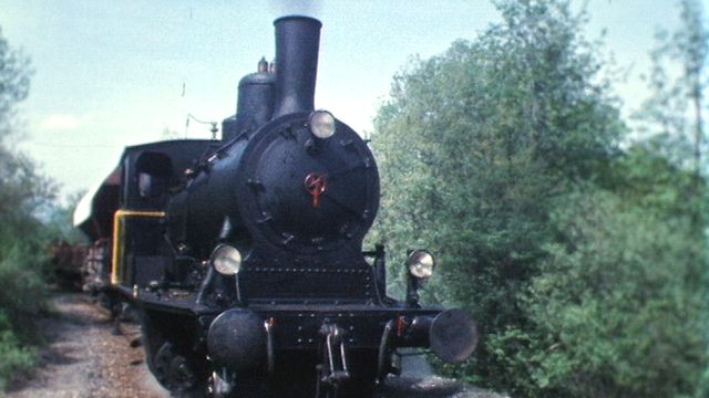 Locomotives à vapeur grandeur réelle [RTS]