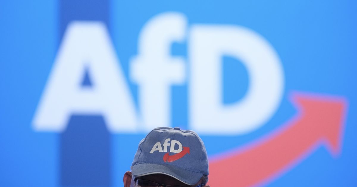 In Deutschland fordert die AfD, „linke Professoren anzuprangern“ – rts.ch