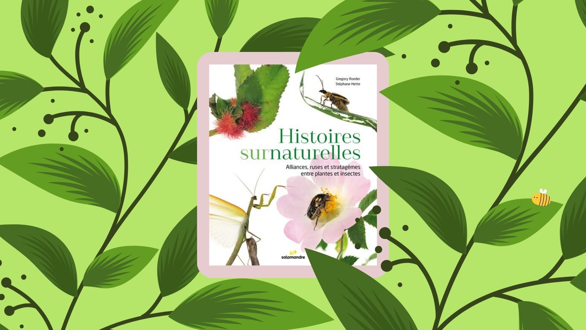 Le livre "Histoires surnaturelles: Alliances, ruses et stratagèmes entre plantes et insectes" (Éditions Salamandre, 2022).