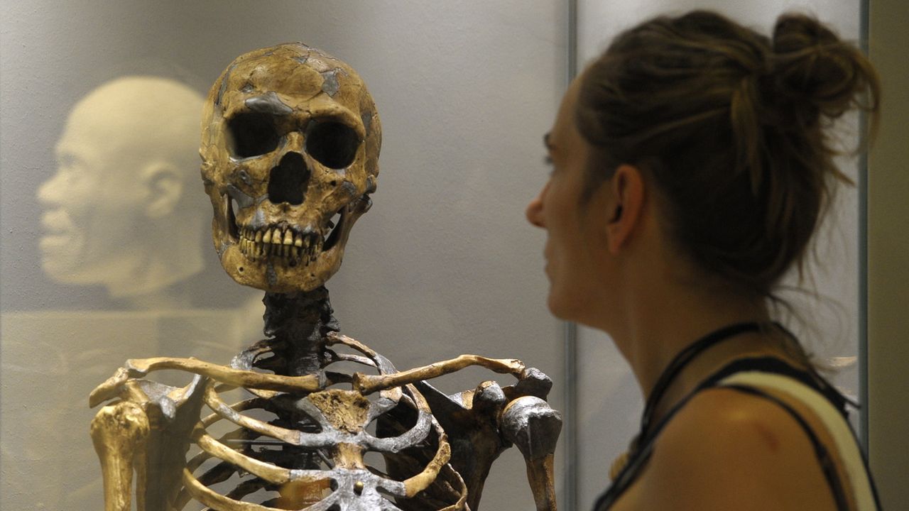 Le "goulet d'étranglement" aurait contribué à l'évolution parallèle des espèces humaines de Néandertal, Denisova et des humains modernes. [Matthias Rietschel - Keystone]