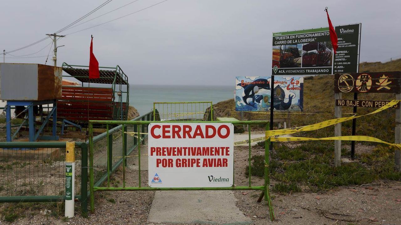 Les autorités enquêtent sur une possible épidémie de grippe aviaire dans les îles Galapagos. [Juan Macri - Keystone]