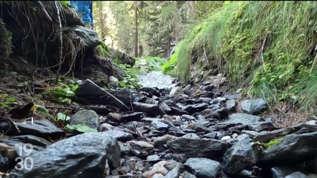 Le canton du Valais réhabilite deux anciens bisses à l’abandon dans le Val d'Anniviers pour faire face aux sécheresses [RTS]