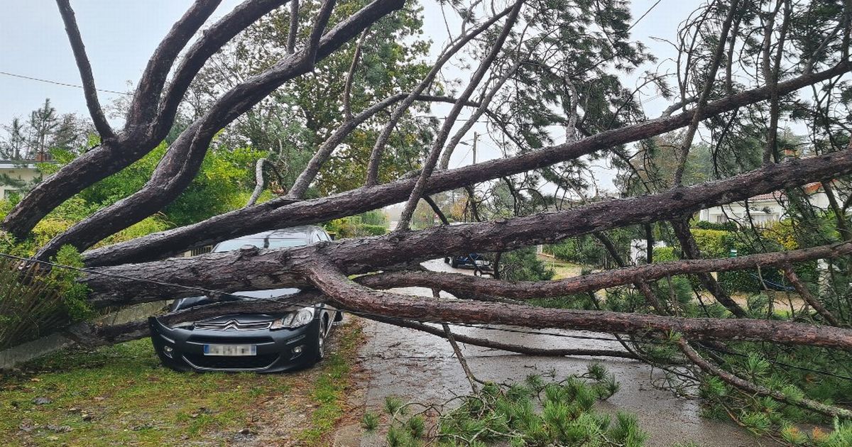 La tempête Ciaran : sept morts en Europe, ports fermés et vols annulés