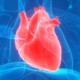 Une thérapie par ultrasons non invasive efficace dans le traitement des maladies des valves cardiaques voit le jour. [magicmine - Depositphotos]